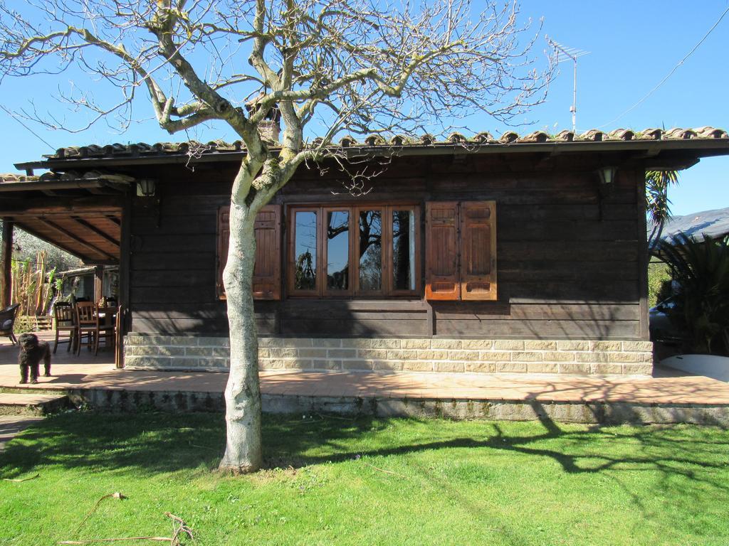 The Lake Chalet Bracciano Kültér fotó